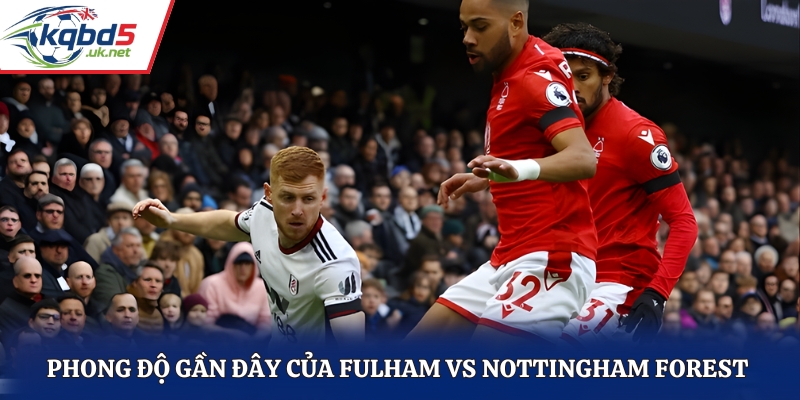 Đánh giá năng lực thi đấu gần đây của Fulham vs Nottingham Forest