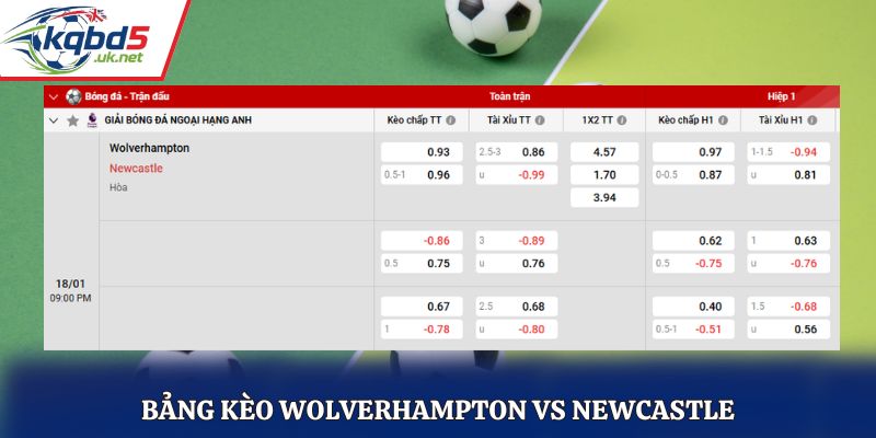 Tỷ lệ kèo nhà cái cho trận Wolverhampton vs Newcastle